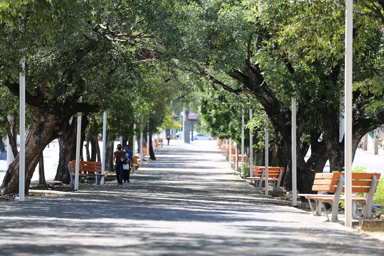 Canteiro Central da Avenida Frei Serafim, Teresina, isolamento